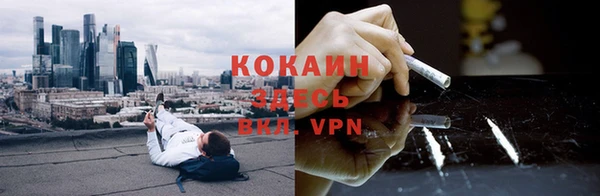 трава Белокуриха