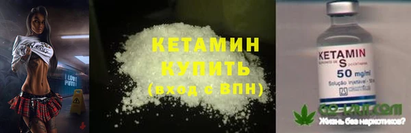 трава Белокуриха