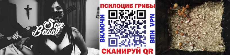 наркошоп MEGA ссылка Галлюциногенные грибы Cubensis Вельск